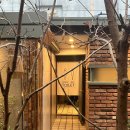 바덴바덴 | 서면 바덴바덴 내돈내산후기(수술전 가장잘한일)