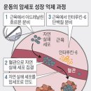 암세포 성장 속도 60%까지 줄어 이미지