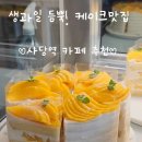 오우아 | [방배] 케이크가 맛있는 사당역카페추천! <오우아> 내돈내산 솔직후기!