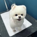 환해지개 이미지