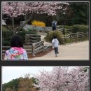 Stone Mountain(스톤마운틴)