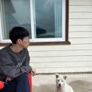 5월 일상 / 5월 꽉꽉채우기 5월 너무 길어여