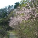 서창운동장 이미지