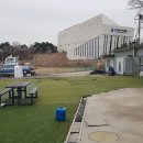 대포네칼국수