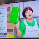 데비마이어 홈쇼핑 구매 후기 (빅박스 패밀리박스 그린박스 그린백 사이즈)