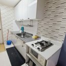 아름다운 애견 이미지