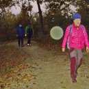 초안산길 이미지