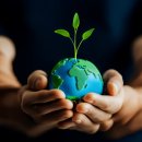 반려식물 원예화분 공예 이미지