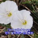 원더비
