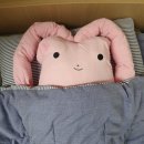 국수나무 팔용점 이미지