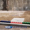 삼숭초등학교 이미지