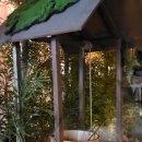 휴본 | 정자역 소고기 미담휴본점 우대갈비먹고온후기