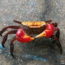 사량양지민박 이미지