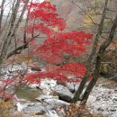 지리산IC 이미지