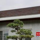 철마우체국 이미지