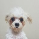 파주시청 이미지