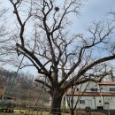 숭덕사(덕성서원) 이미지