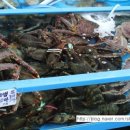 모아회집 네이버블로그