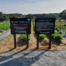 두배로농장 이미지