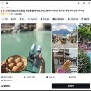 EG투어버스 E코스 | 후쿠오카 버스투어 유후인 벳부 근교 소도시 여행 라쿠투어 내돈내산 추천 후기 ♥