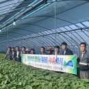 진안군농협조합공동사업법인 이미지