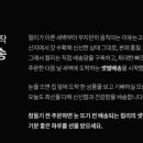 고고망고 이미지