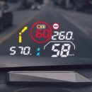 신호카포스 이미지