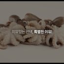 탄탄쭈꾸미 이미지