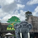 중부-현장-중부-976 | 아기랑 푸꾸옥 Day 4 북부코스 (체크아웃 후 사파리 이용하기)