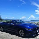 성공렌트카 이미지