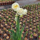 마포어르신돌봄통합센터 이미지