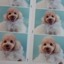 멍스데이 이미지