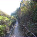 안골길 9 이미지