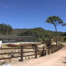 태실농장 이미지