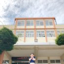 진해중앙고등학교 이미지