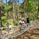 임계초등학교 병설유치원 이미지
