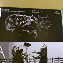 &lt;아파나도르 공연 후기&gt; - 플라멩코, 죽음, 그리고 사랑의 강렬한 여정 ( 스페인 국립 플라멩코 발레단...