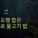 45해(解) 삼명통회 해독 3권 305p / 납음은 극하고 지지 흉살이 합하면 익사 이미지