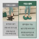 (주)어스텝퍼더 | 내돈내산 찐 후기, 다이어트학교 리압스텝퍼 (말랑스텝퍼)