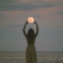 The Moon 이미지