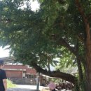 선암1리 이미지