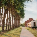 진주 충무공동 익룡ㆍ새ㆍ공룡발자국 화석산지 이미지