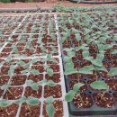 상화농장 이미지