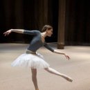 성인발레 이미지