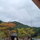 오두막 | 무봉산자연휴양림 오두막 이용후기