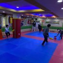 용인대 도곡 태권도장 이미지