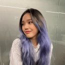 베리미헤어