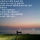 양치기 신부님의 말씀 묵상 / 살레시오회 한국관구 관구장 양승국 스테파노 신부 이미지