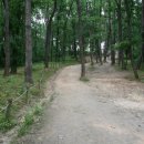 수원-0144 이미지