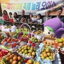 강서구-22 이미지